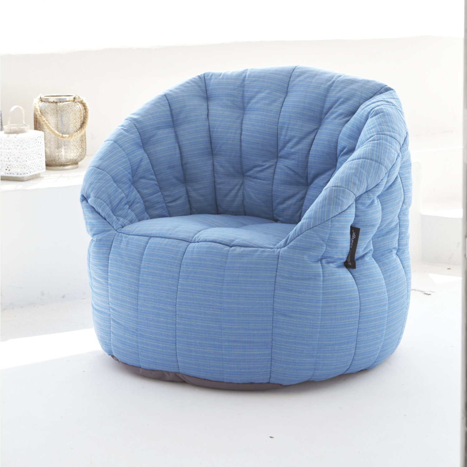 Butterfly-Oceana-Capture_394