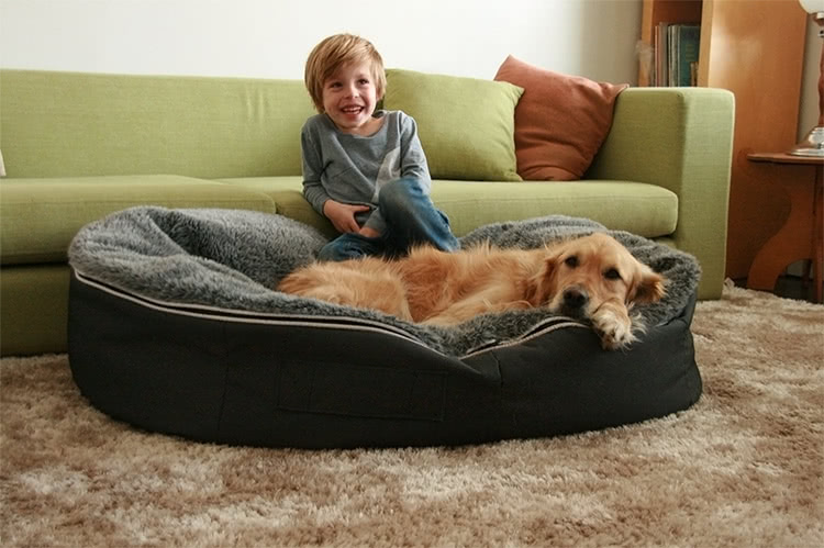 Boy and happy dog on Ambient Lounge pet bed